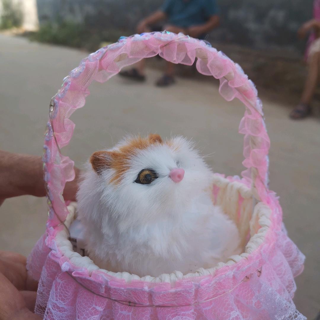 老大