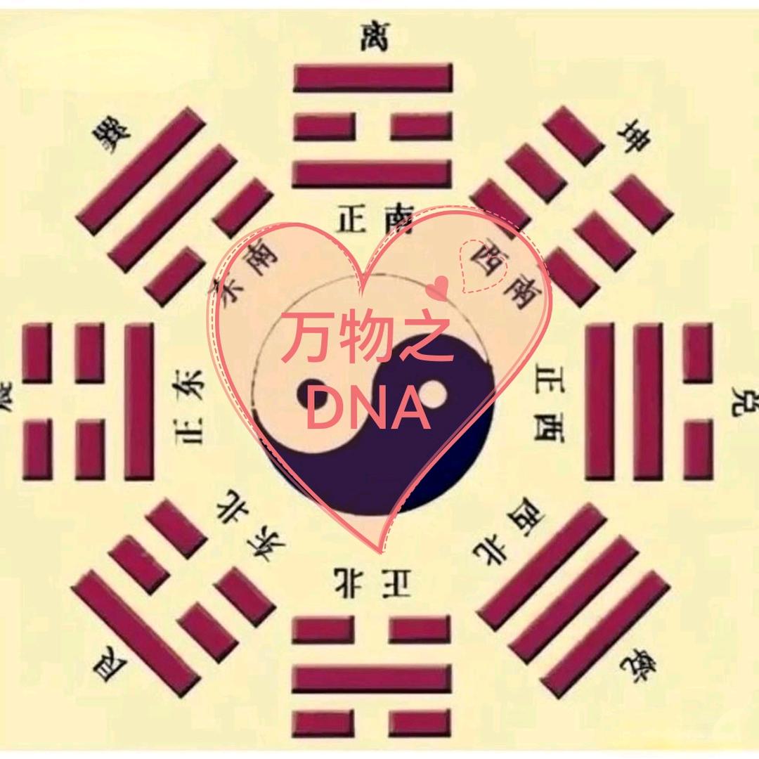 张和平@《黄帝内经》