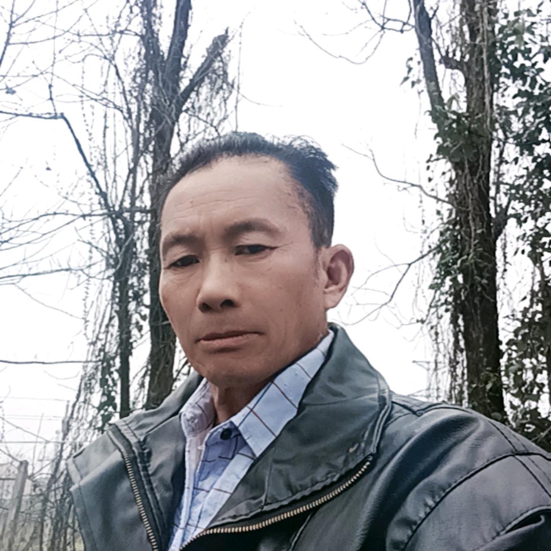 情感调解