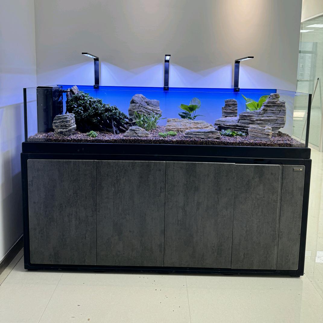 @新区鱼友之家/水族箱一站式售后服务