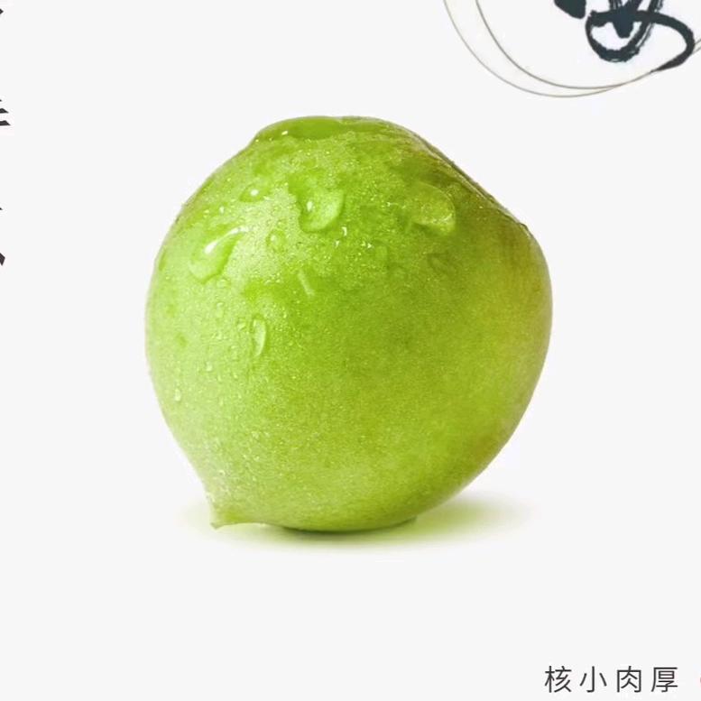 梅梦想