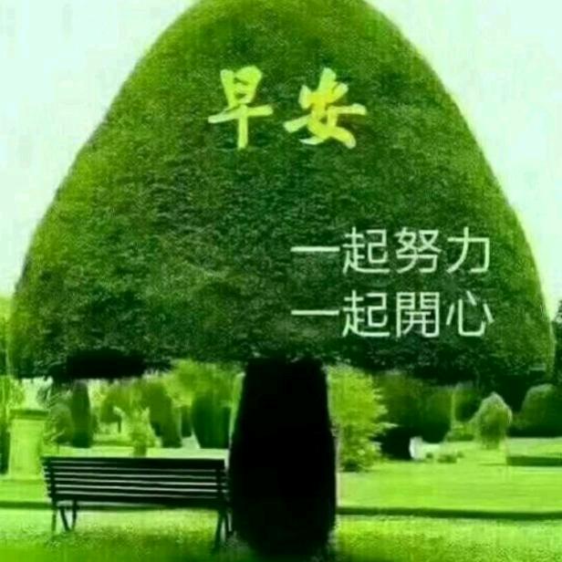 贵州梦想从头再来
