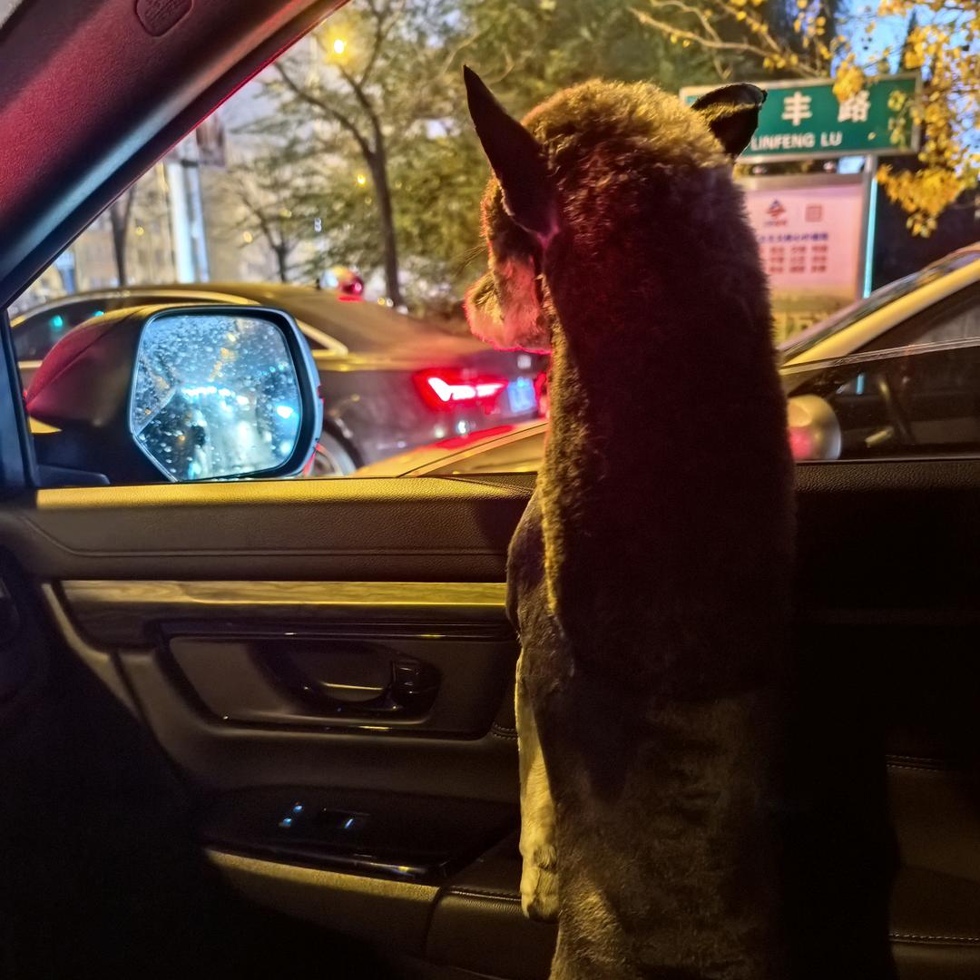 左手