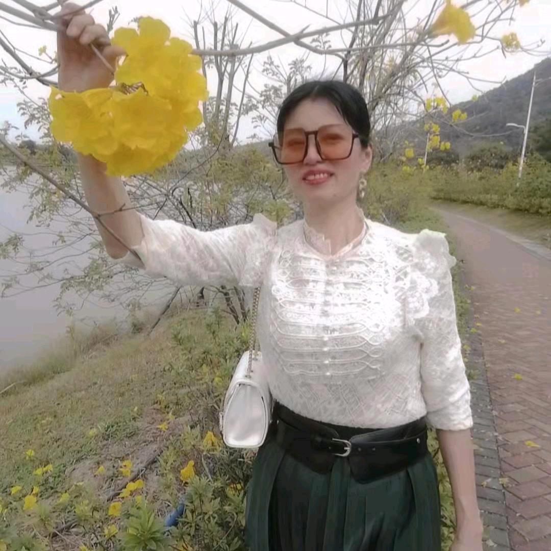 凤凤