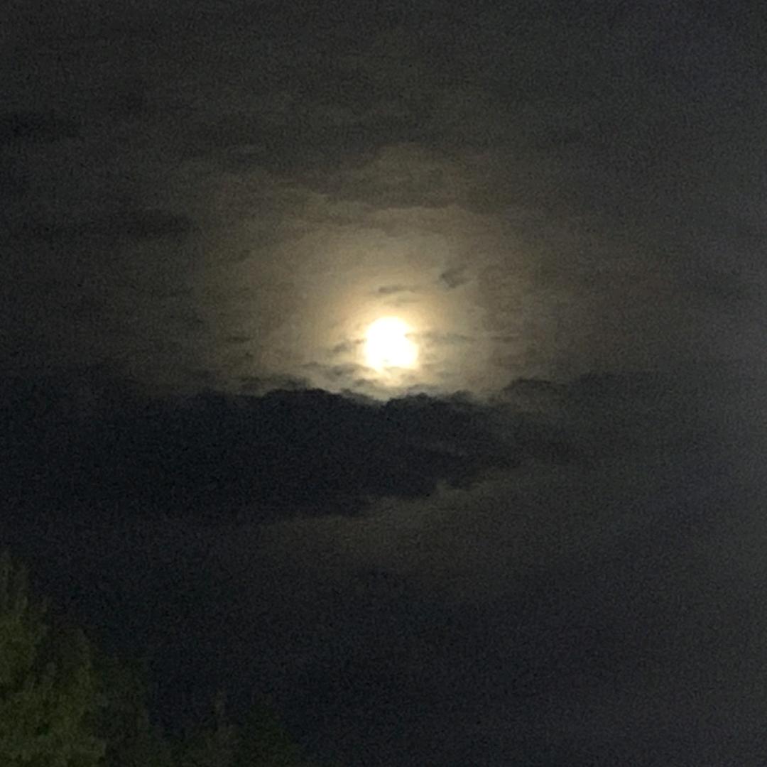 华华星星