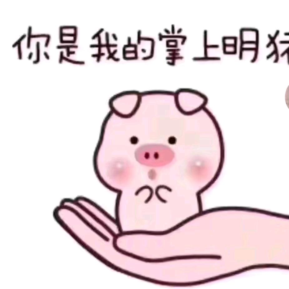 小(∗❛ัᴗ❛ั∗)猪