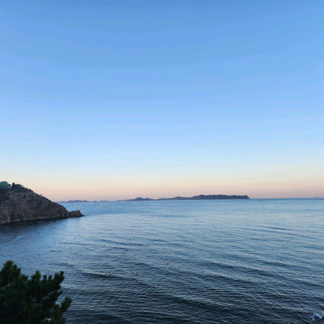 东平湖的水蕖清