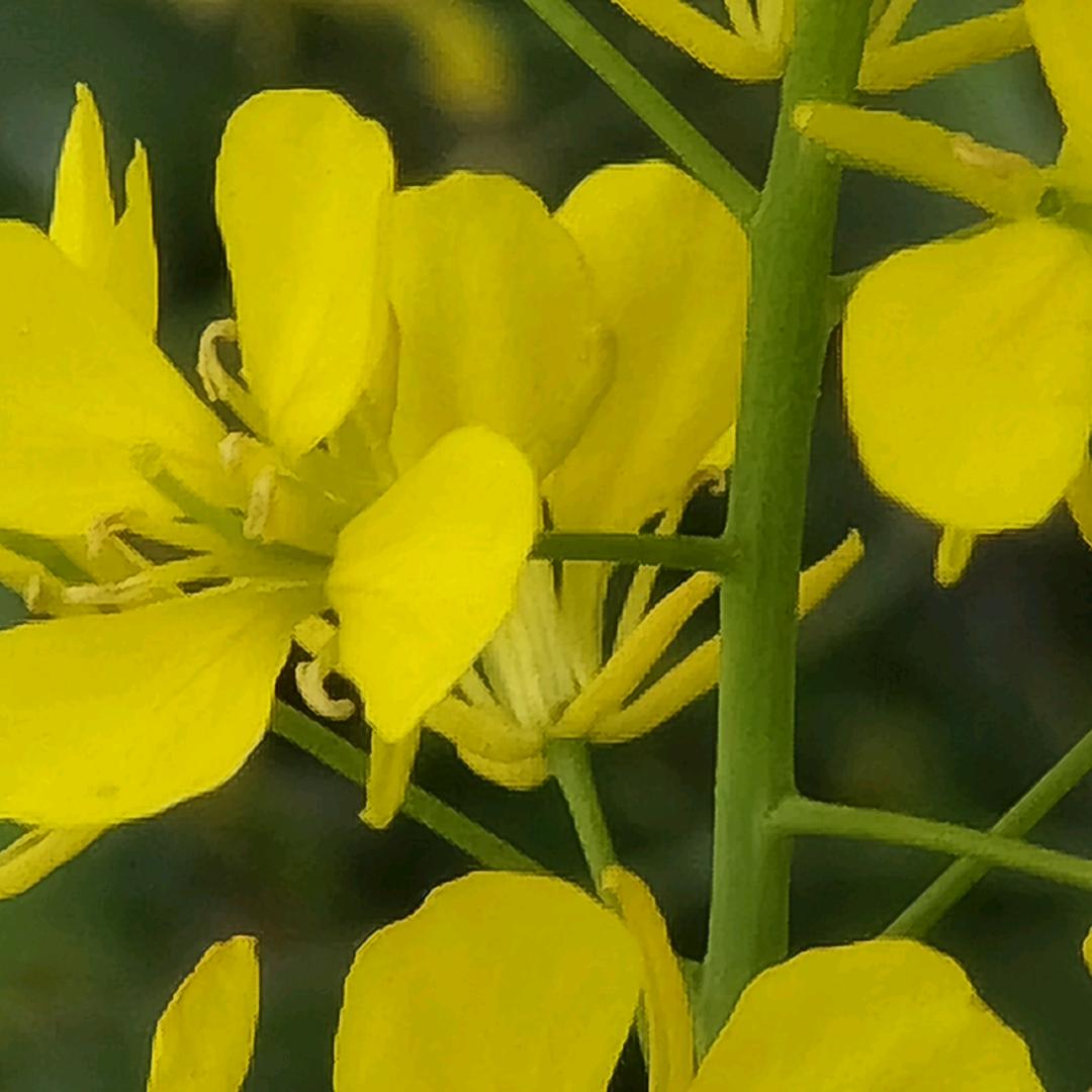 专业的事，交给专业的人，油l漆涂料唐哥