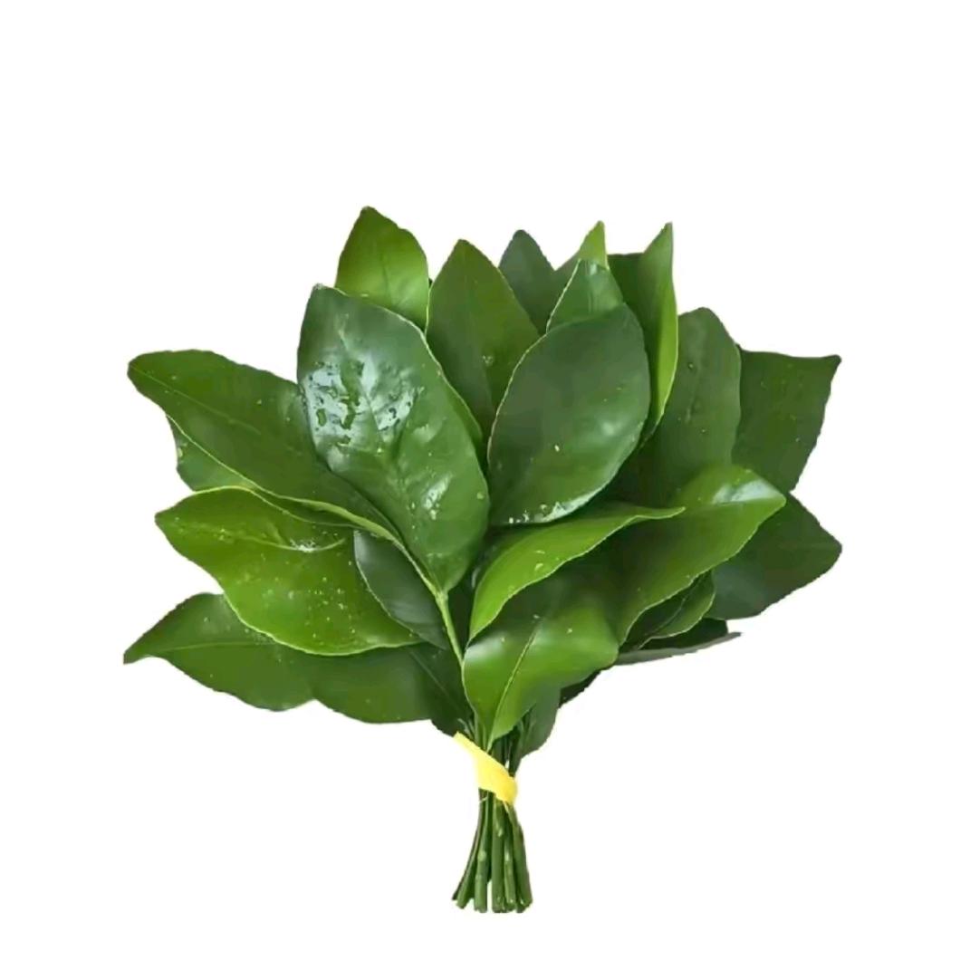 奶芙小蝴蝶𓂃꙳⋆♡