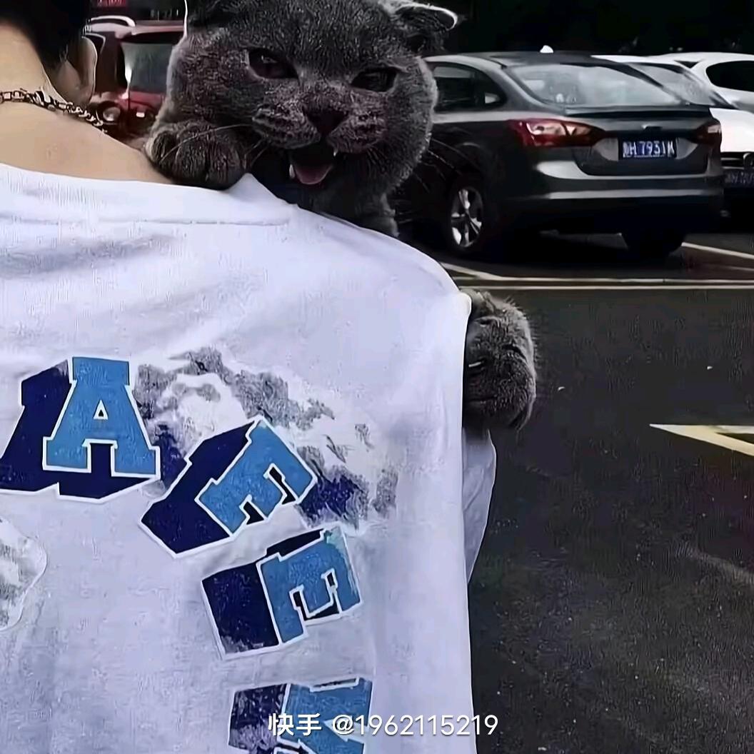 依