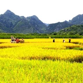 AAA建材批发市场量多价低