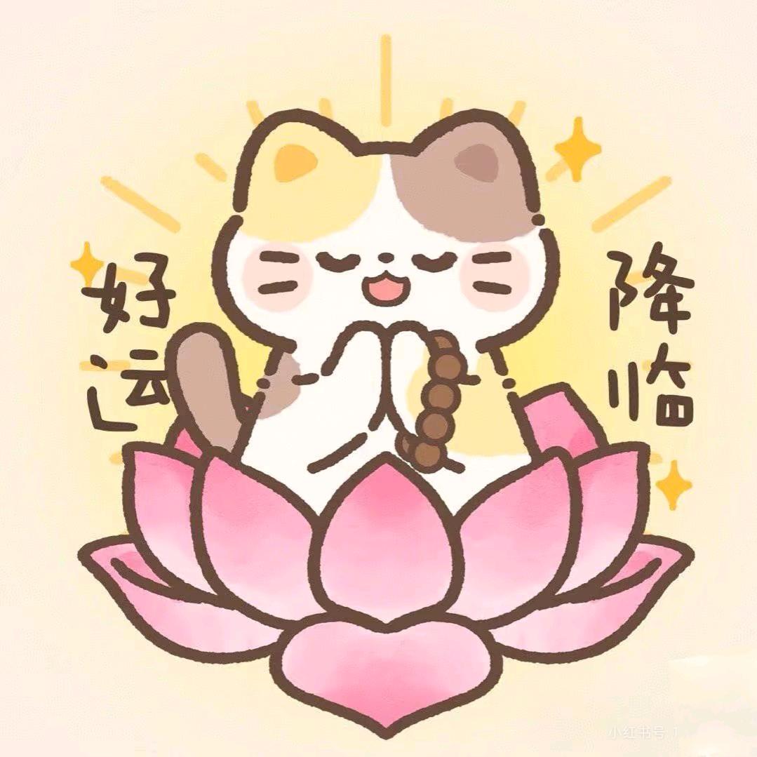 小咸鱼的快乐时刻