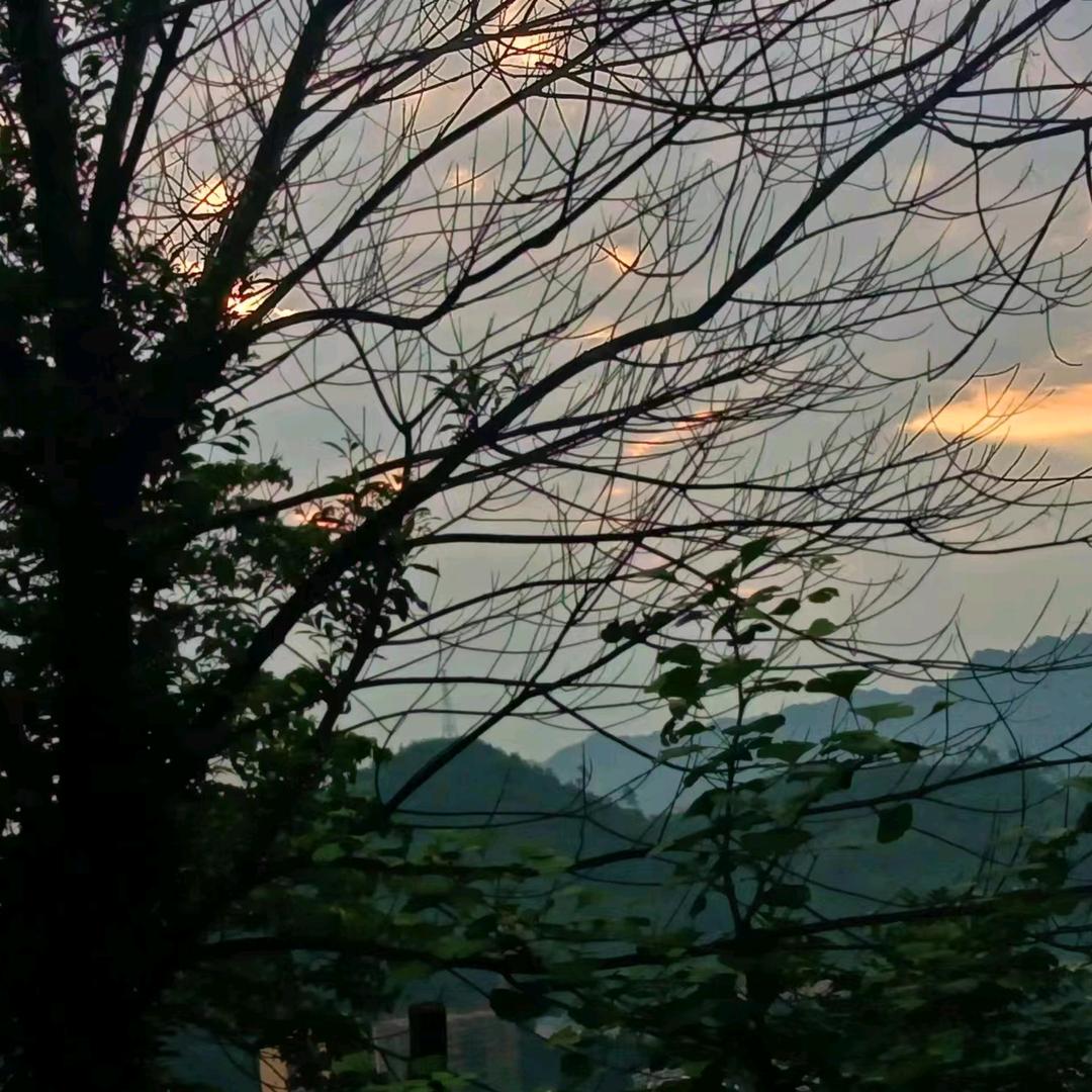 ୧⍤⃝杨এ᭄帆ꦿ启꧔ꦿ້໌ᮨ航🕊࿐⁵²