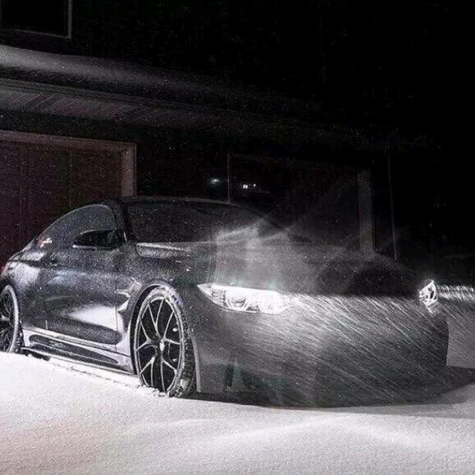 大鲨鱼爱吃鱼丶