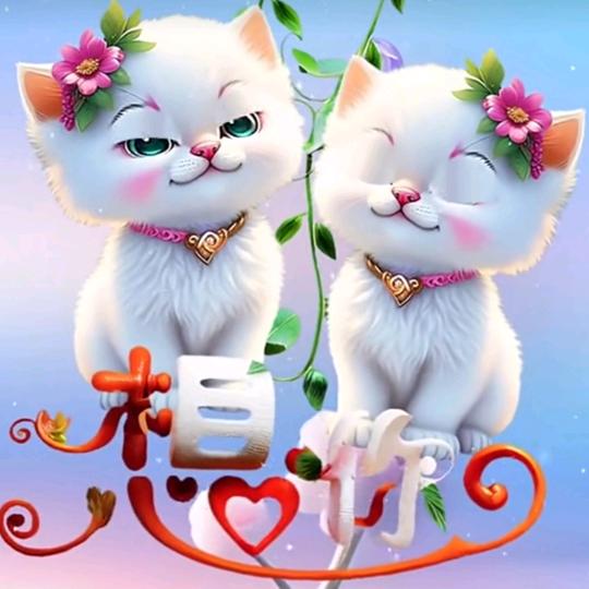 为了梦想