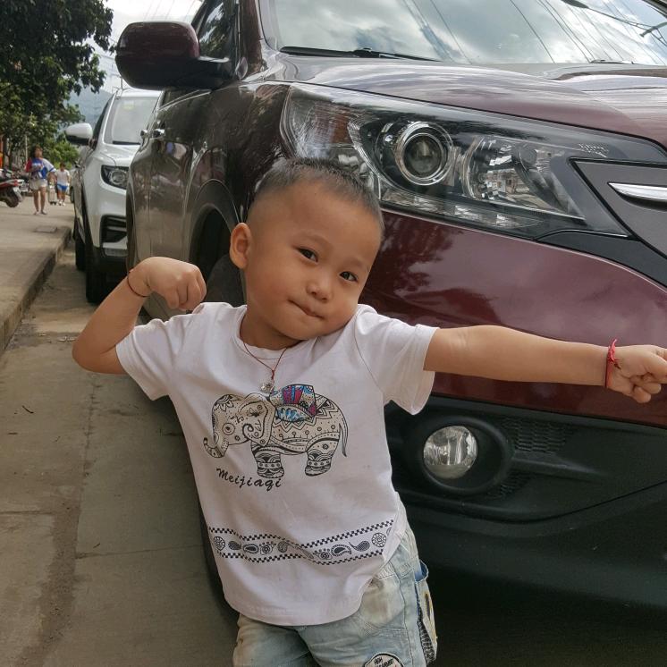 亮哥 越南西贡进口热带各种水果