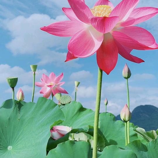 手机用户62875947581