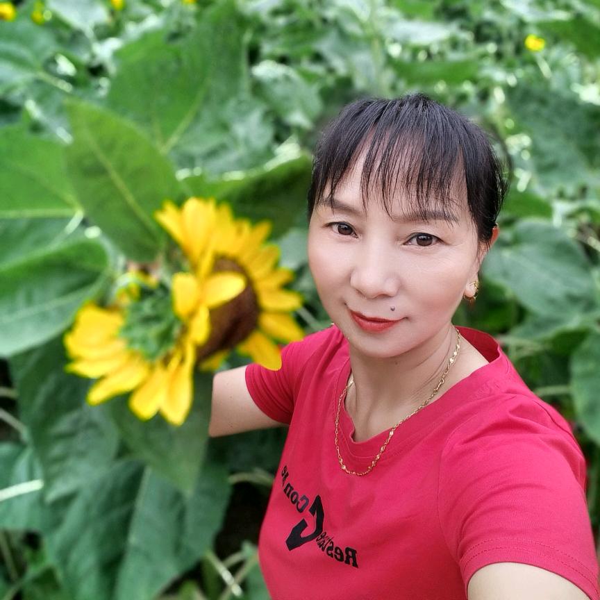 菊花