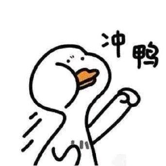 捡球壹级能耍🏸