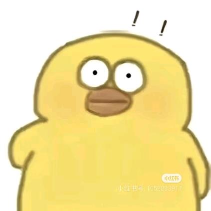 窝爱小狗