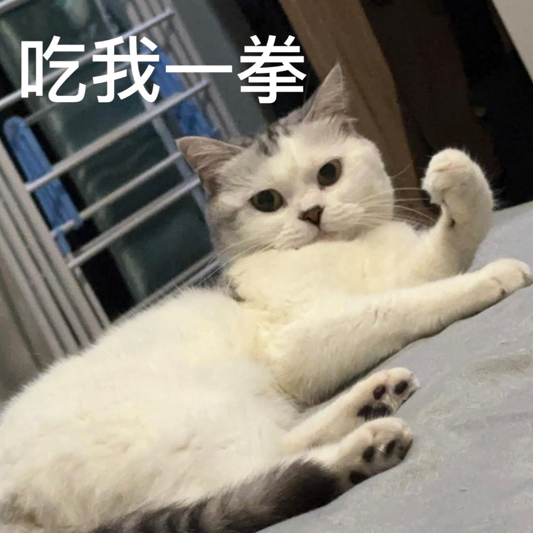 岚岚