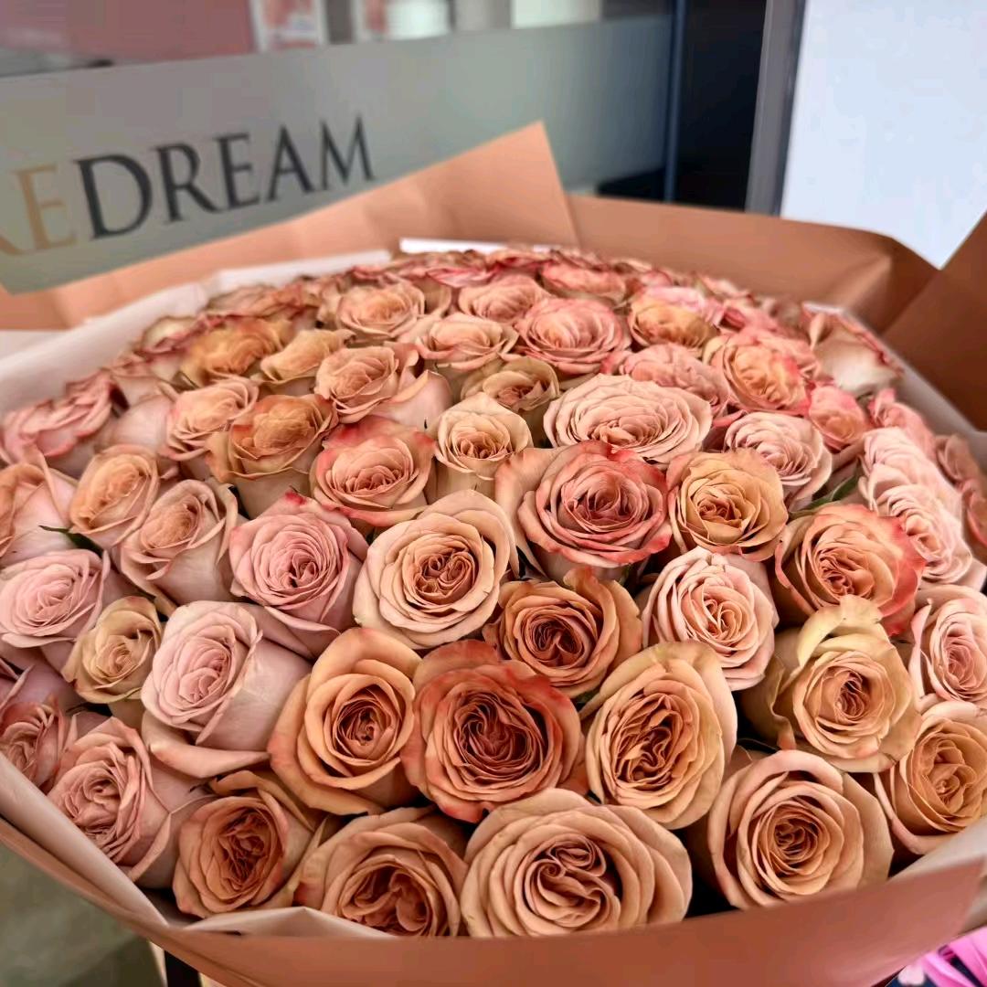 ঞৣঁ🍒᭄小财迷ঞৣ᭄