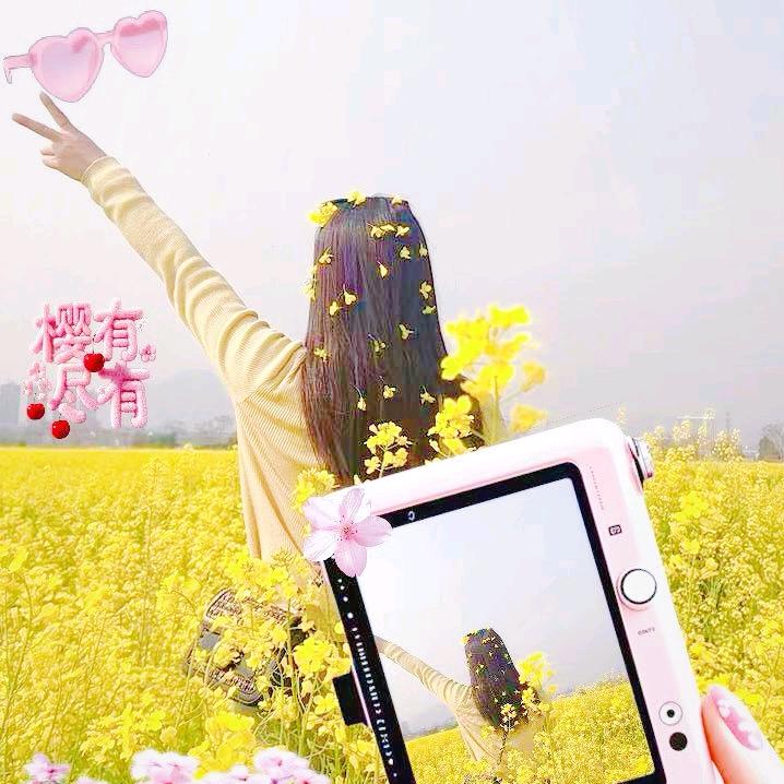 雯🌸雯家的花