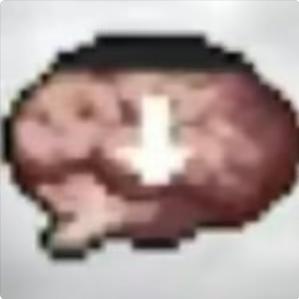 iBvgba.
