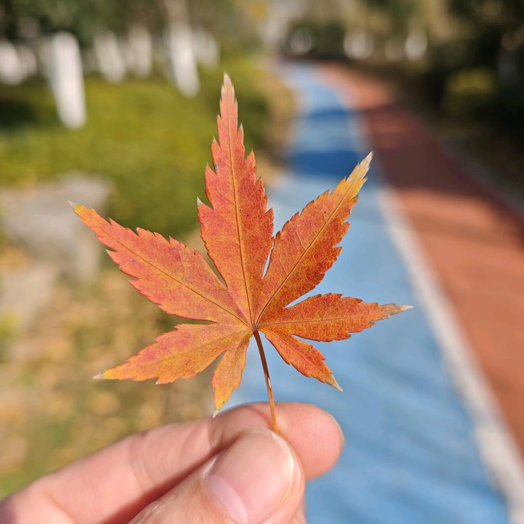 得明爱生活