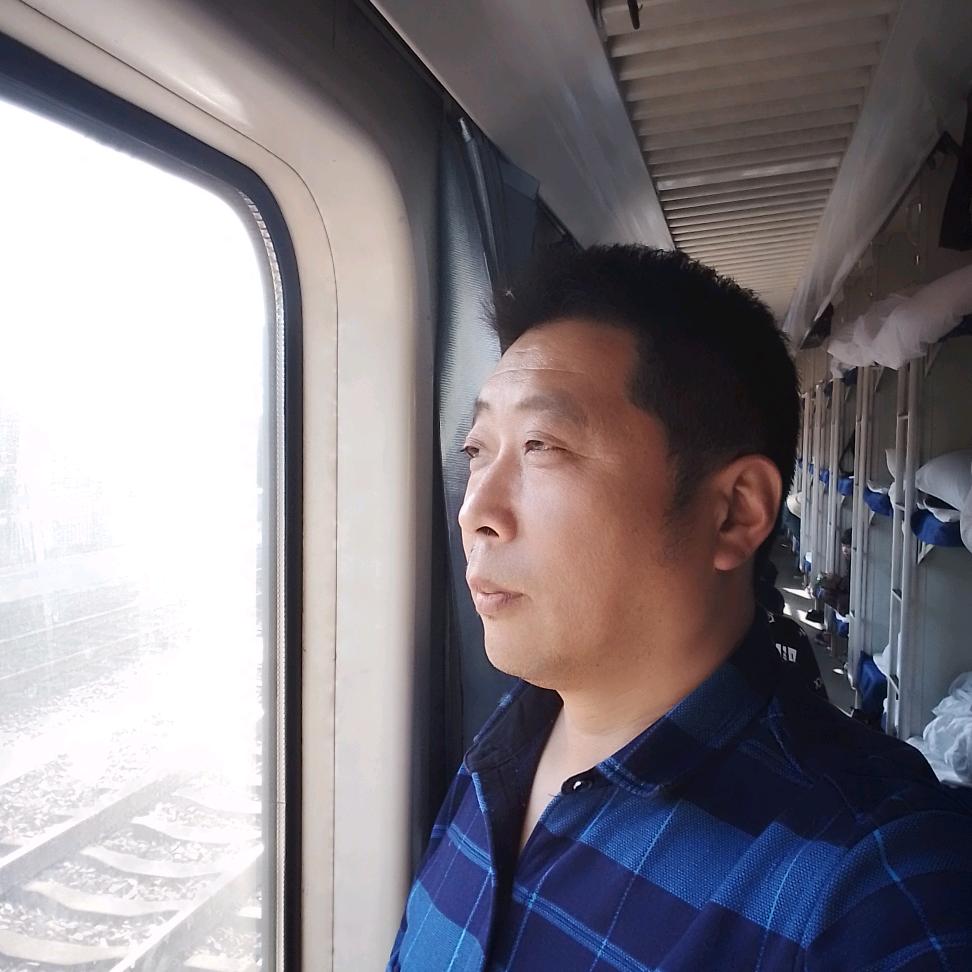 离群的雁