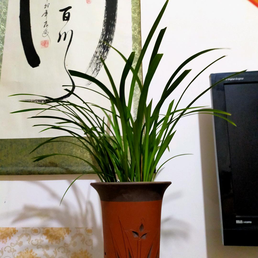 陈艳莉
