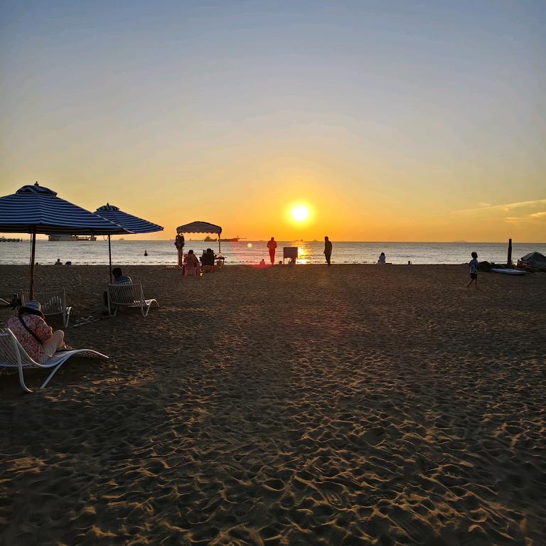 你若盛开蝴蝶自来