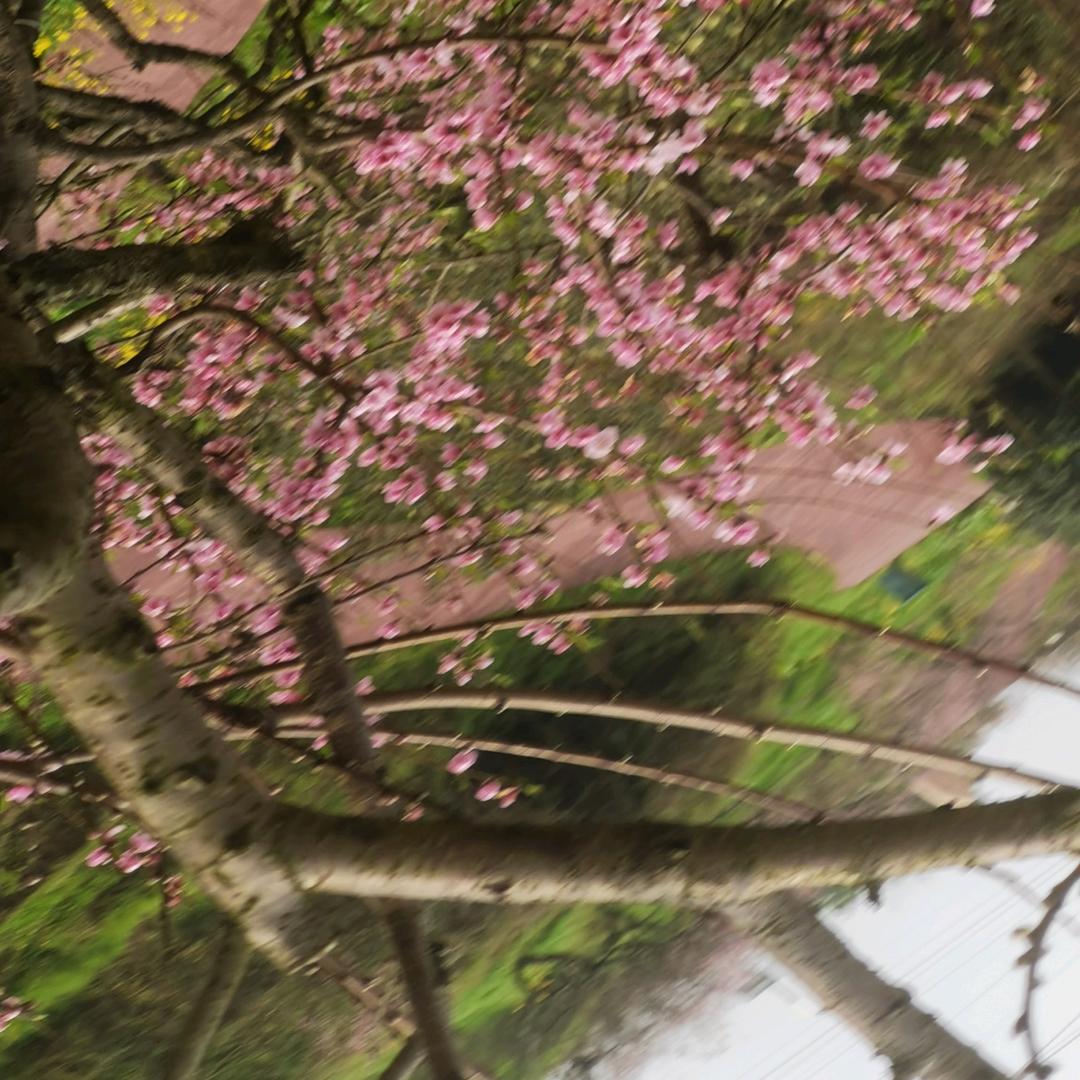 稻花香未来可期