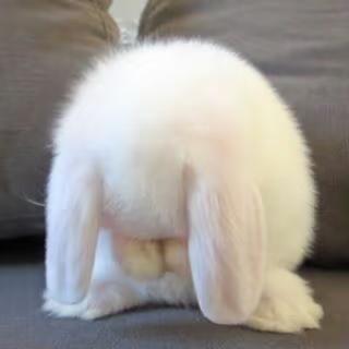 VvvVvV宝🐇