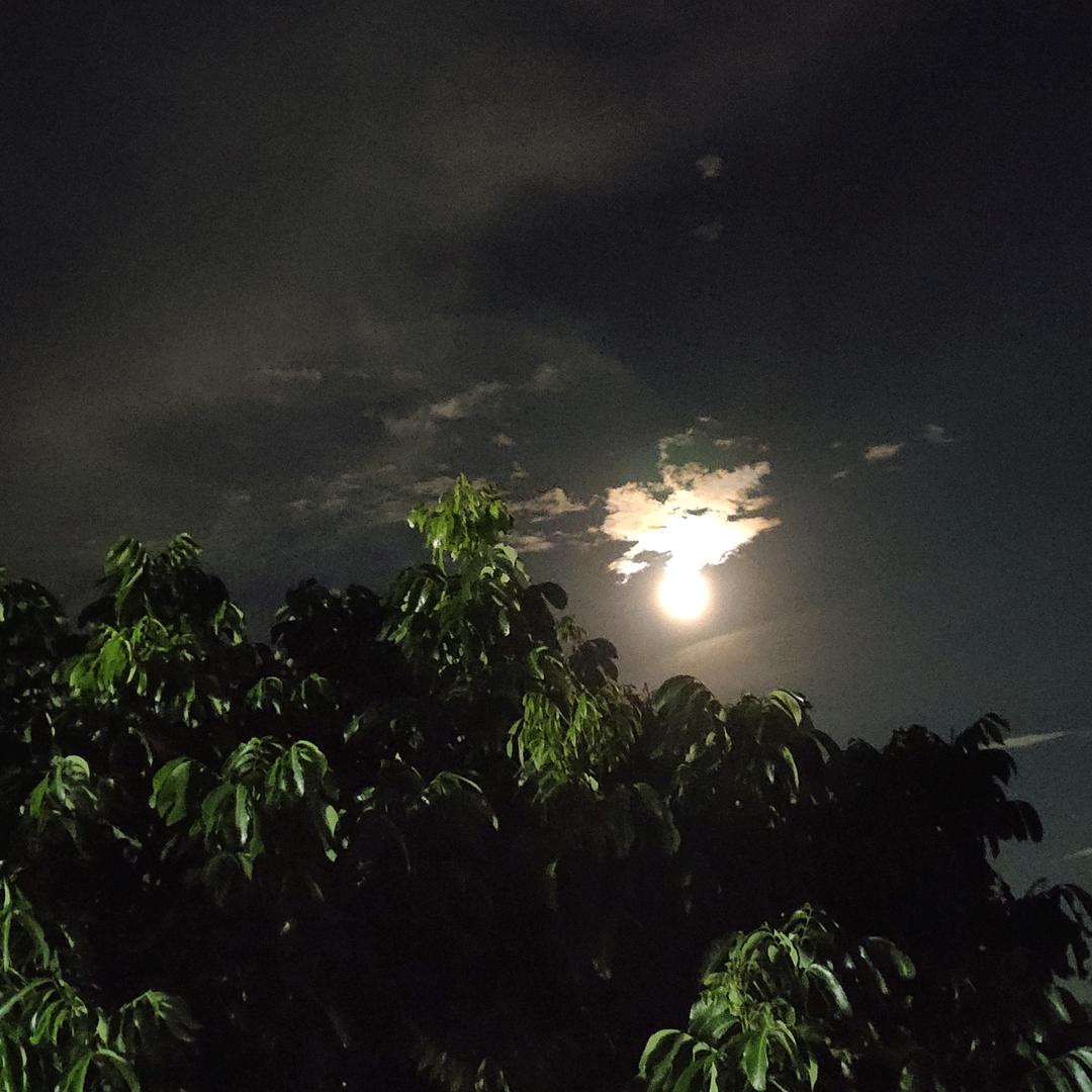 陪你一起闯天涯