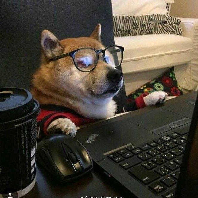 茶