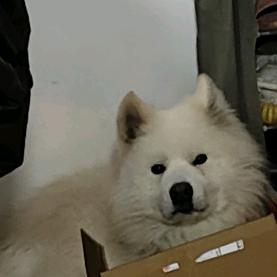 吖💫