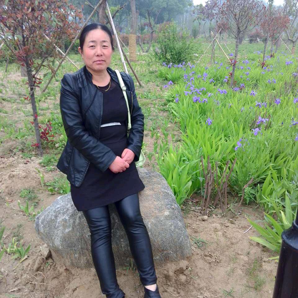 河南莲姐