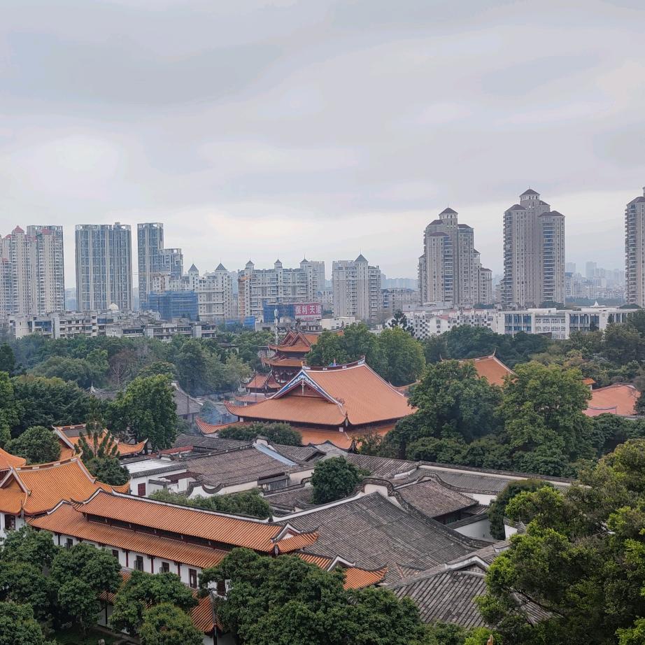 寻寻觅觅冷冷清清