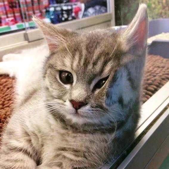 源鑫珠宝—四眼