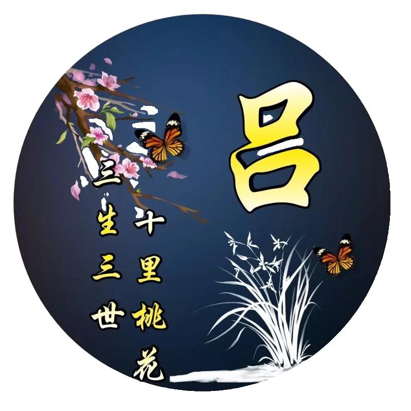 天山莲花情❤️🌷🌷🌷