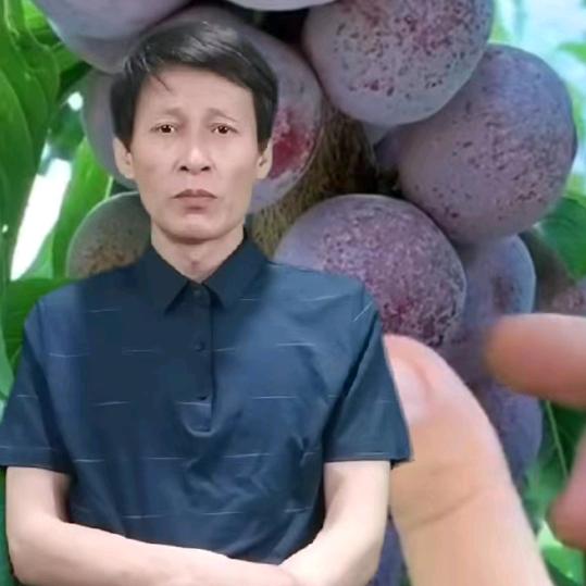 海口市秀英区枫之盛百货商行