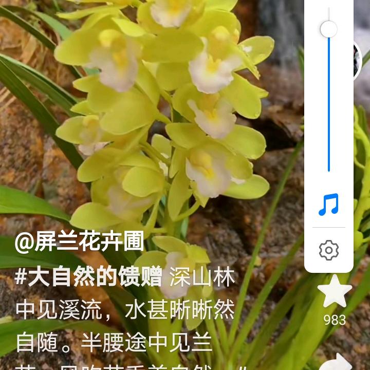 K歌战