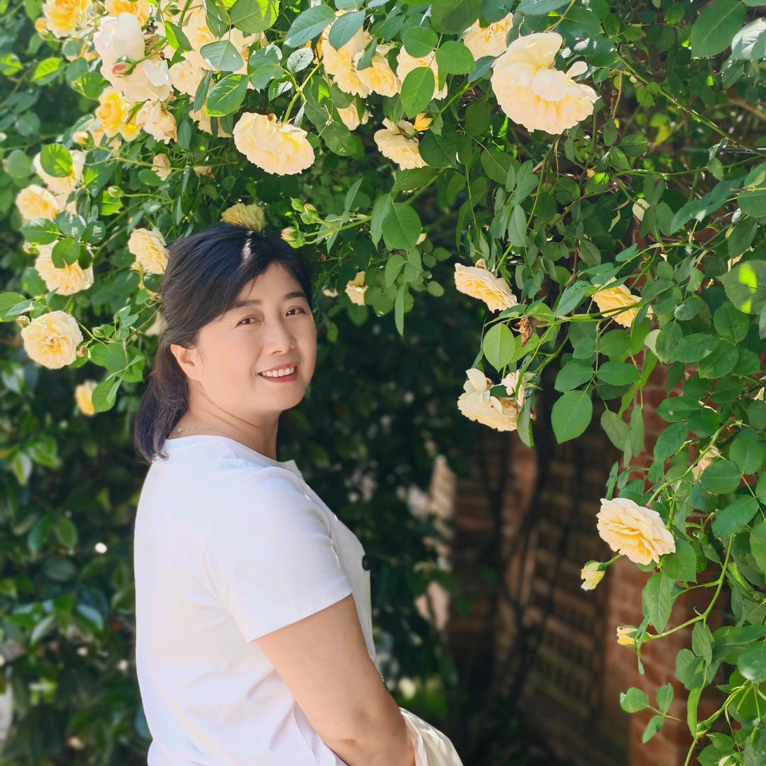 悦江湾🏠燕子