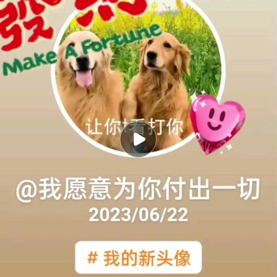 我愿意为你付出一切