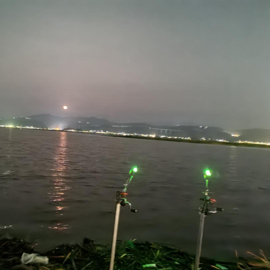 洲杨钓鱼