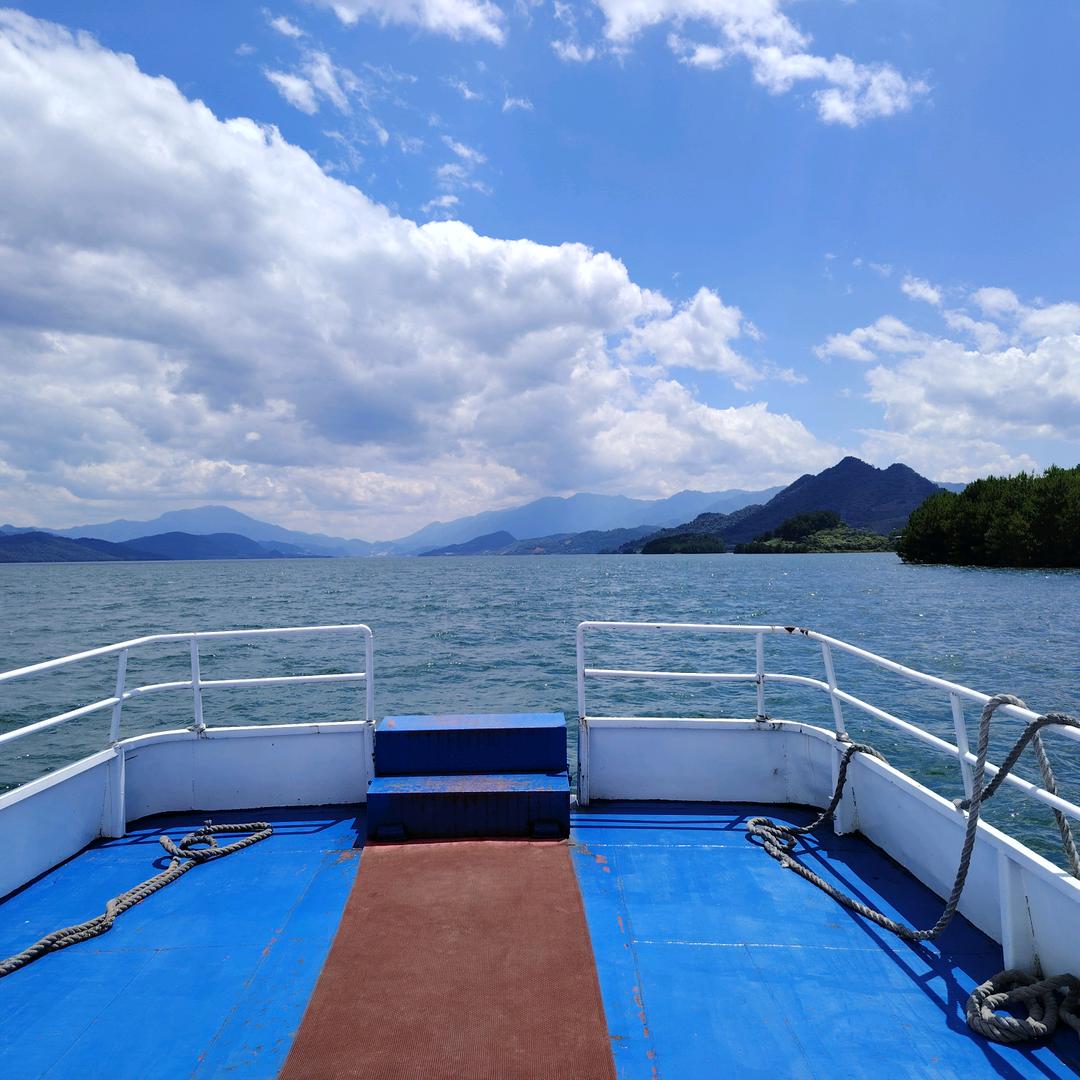 🌻没低保的老头🌻