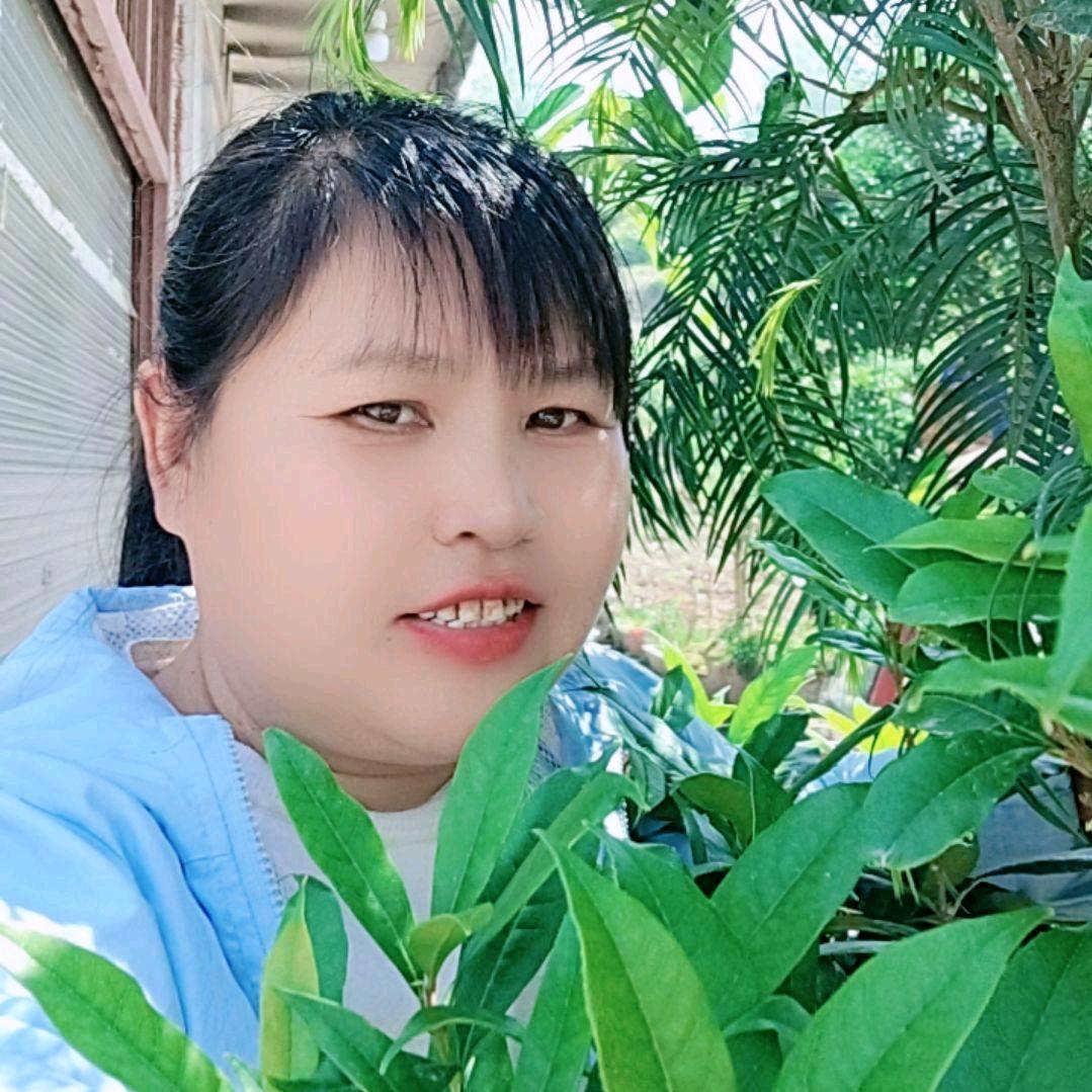 开心果
