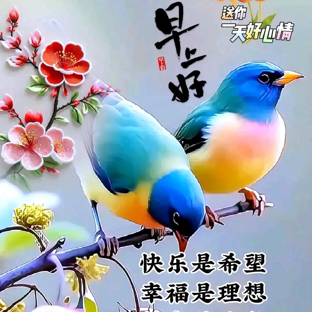 玫瑰人生