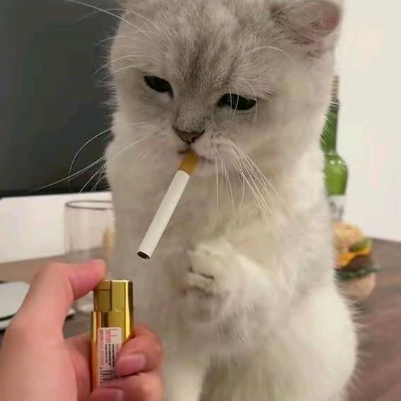 规